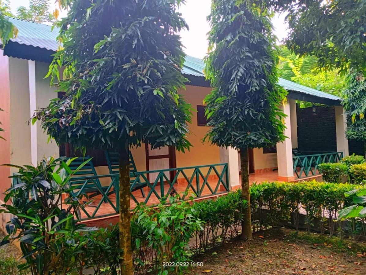 Hotel Butterfly - Peaceful Garden For Nature Lovers ソーラハ エクステリア 写真