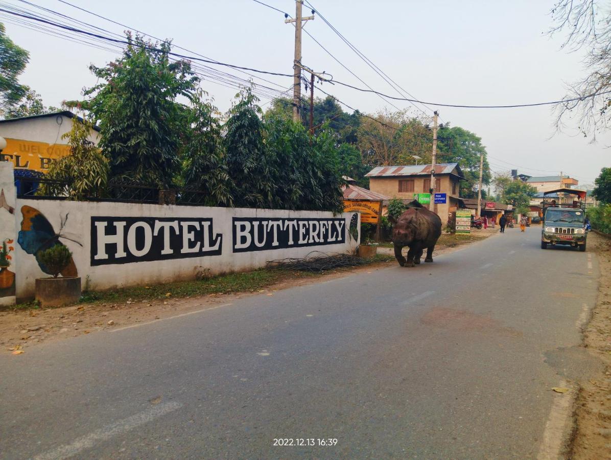 Hotel Butterfly - Peaceful Garden For Nature Lovers ソーラハ エクステリア 写真
