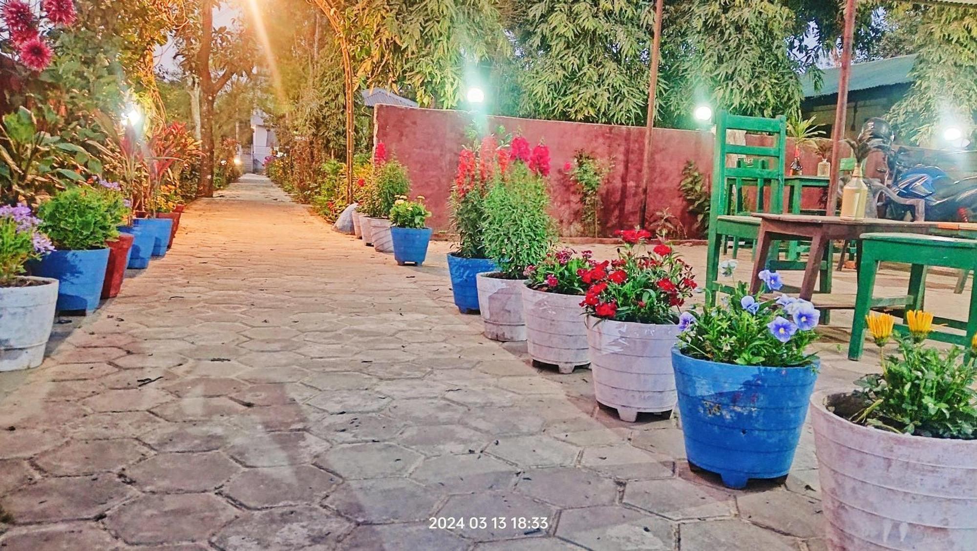 Hotel Butterfly - Peaceful Garden For Nature Lovers ソーラハ エクステリア 写真
