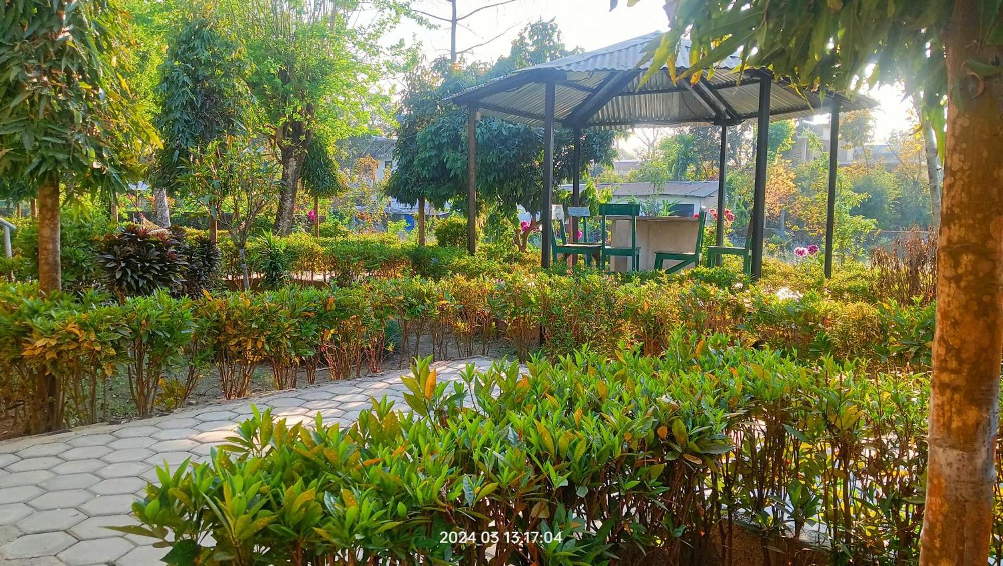 Hotel Butterfly - Peaceful Garden For Nature Lovers ソーラハ エクステリア 写真