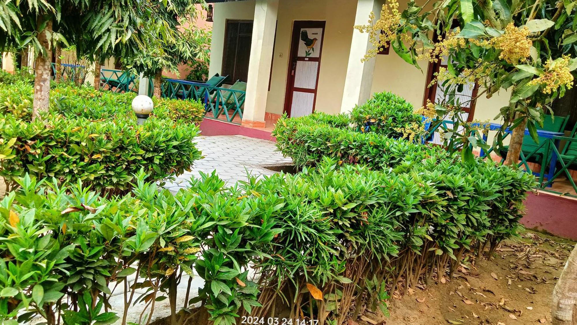 Hotel Butterfly - Peaceful Garden For Nature Lovers ソーラハ エクステリア 写真