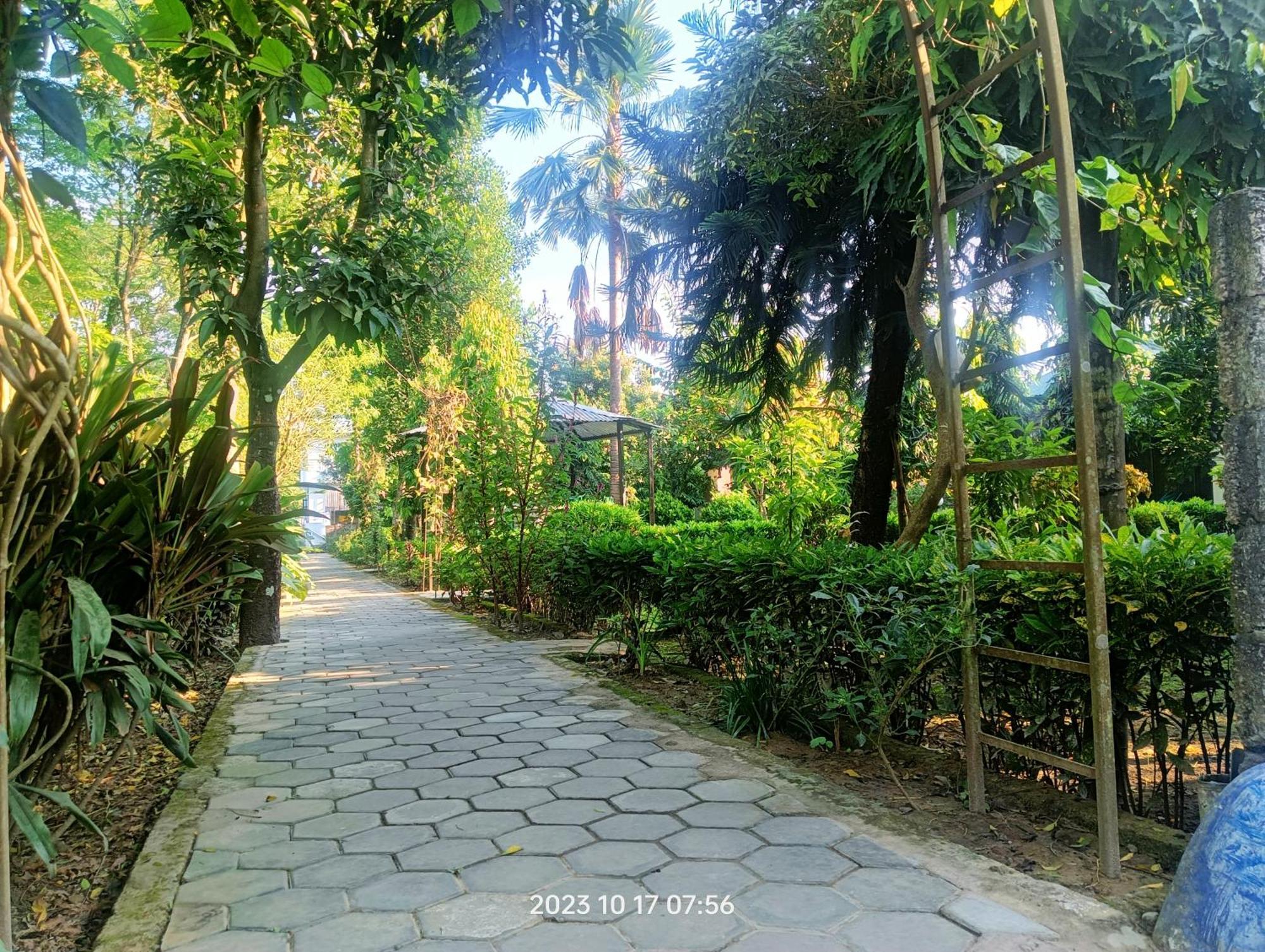 Hotel Butterfly - Peaceful Garden For Nature Lovers ソーラハ エクステリア 写真