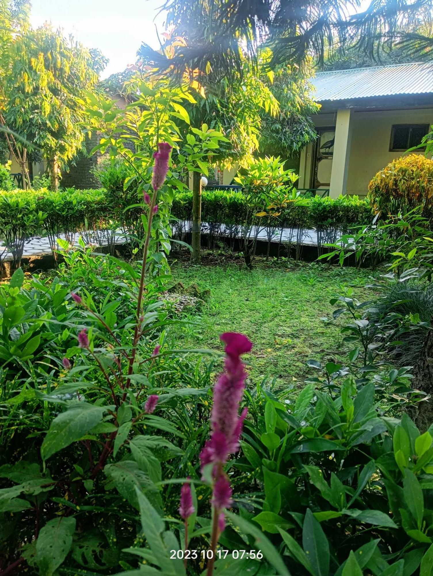 Hotel Butterfly - Peaceful Garden For Nature Lovers ソーラハ エクステリア 写真