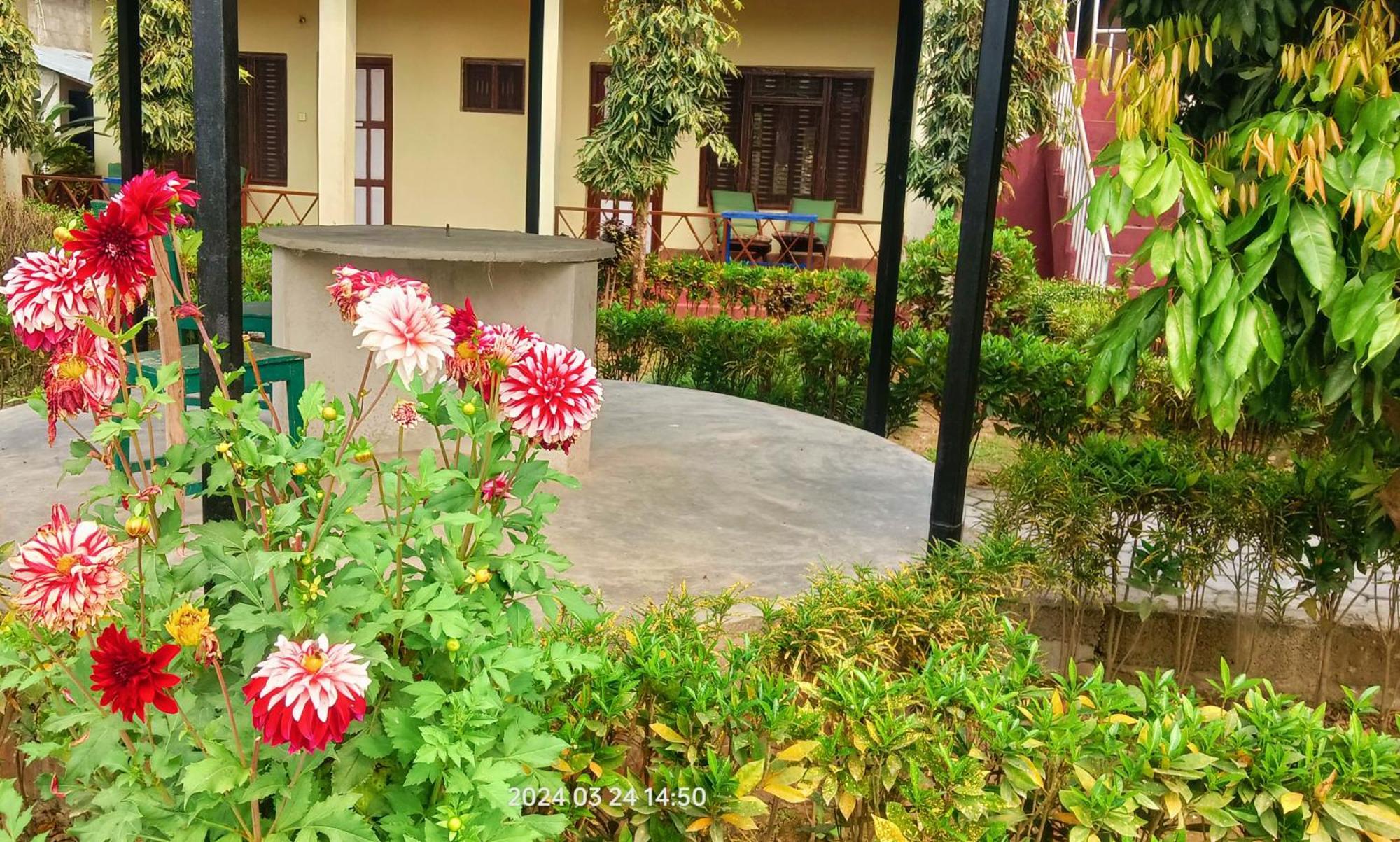 Hotel Butterfly - Peaceful Garden For Nature Lovers ソーラハ エクステリア 写真