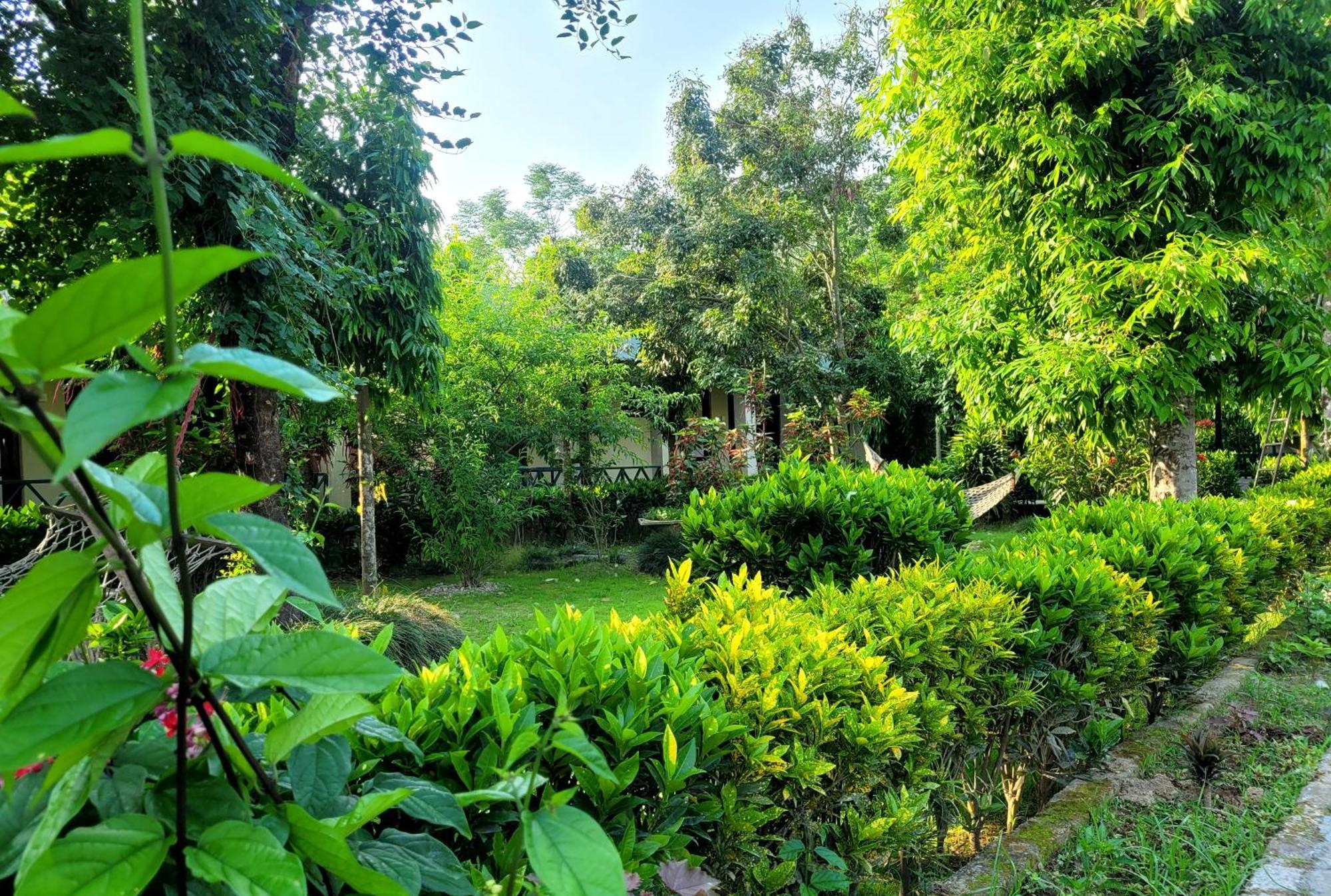 Hotel Butterfly - Peaceful Garden For Nature Lovers ソーラハ エクステリア 写真