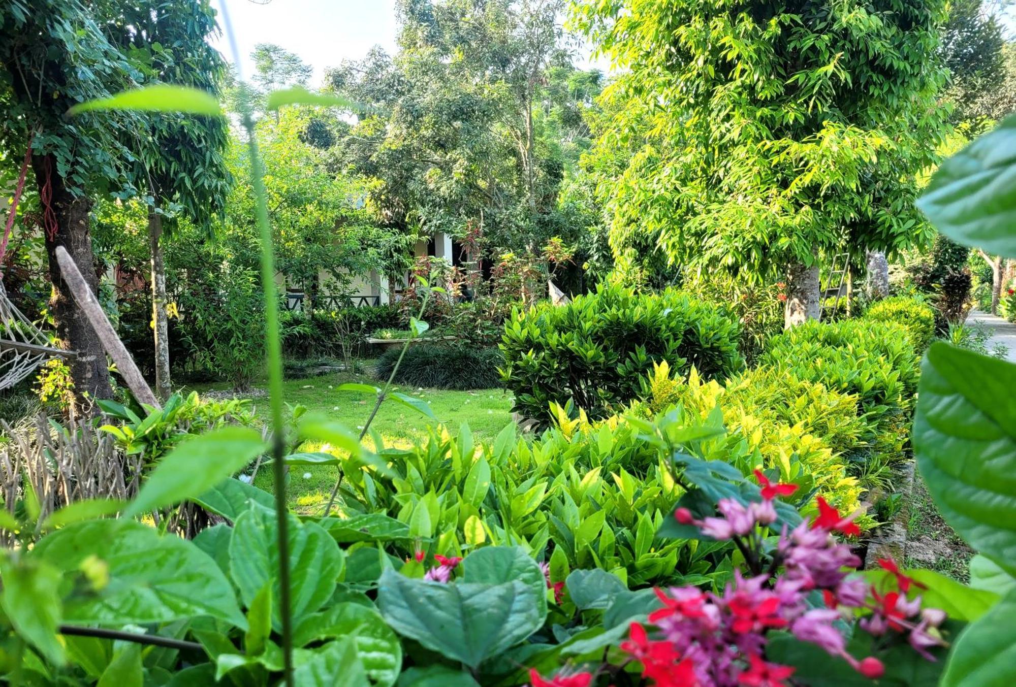 Hotel Butterfly - Peaceful Garden For Nature Lovers ソーラハ エクステリア 写真