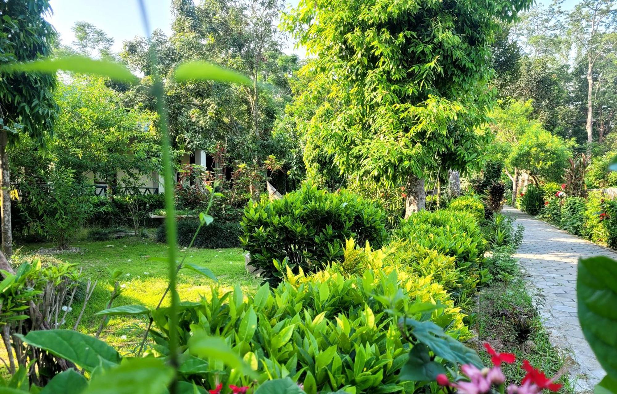 Hotel Butterfly - Peaceful Garden For Nature Lovers ソーラハ エクステリア 写真